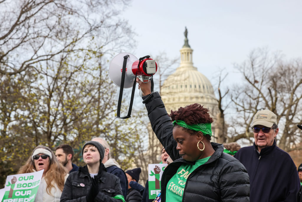 Demokratizácia amerických zákonodarných inštitúcií: Prečo by feministky mali prestať čakať na Kongres a súd
